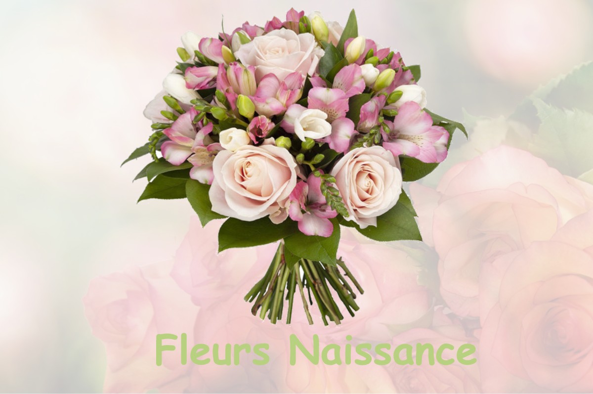 fleurs naissance VILLEFRANCHE-D-ALBIGEOIS